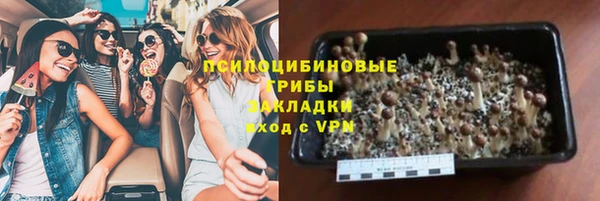 шишки Беслан